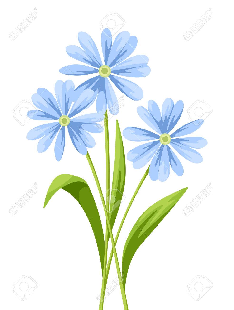 Vector Bouquet De Fleurs Bleues Isolé Sur Un Fond Blanc