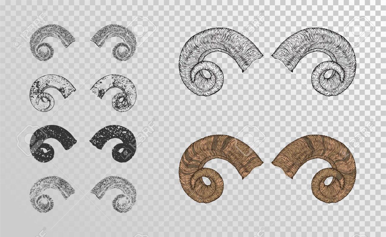 Vector Set Of Hand Drawn Horns Ram With Grunge Elements In Different Versions On A Transparent Background Monochrome And Color Variation For You Design Tattoo Or Magic Craft Lizenzfrei Nutzbare Vektorgrafiken Clip