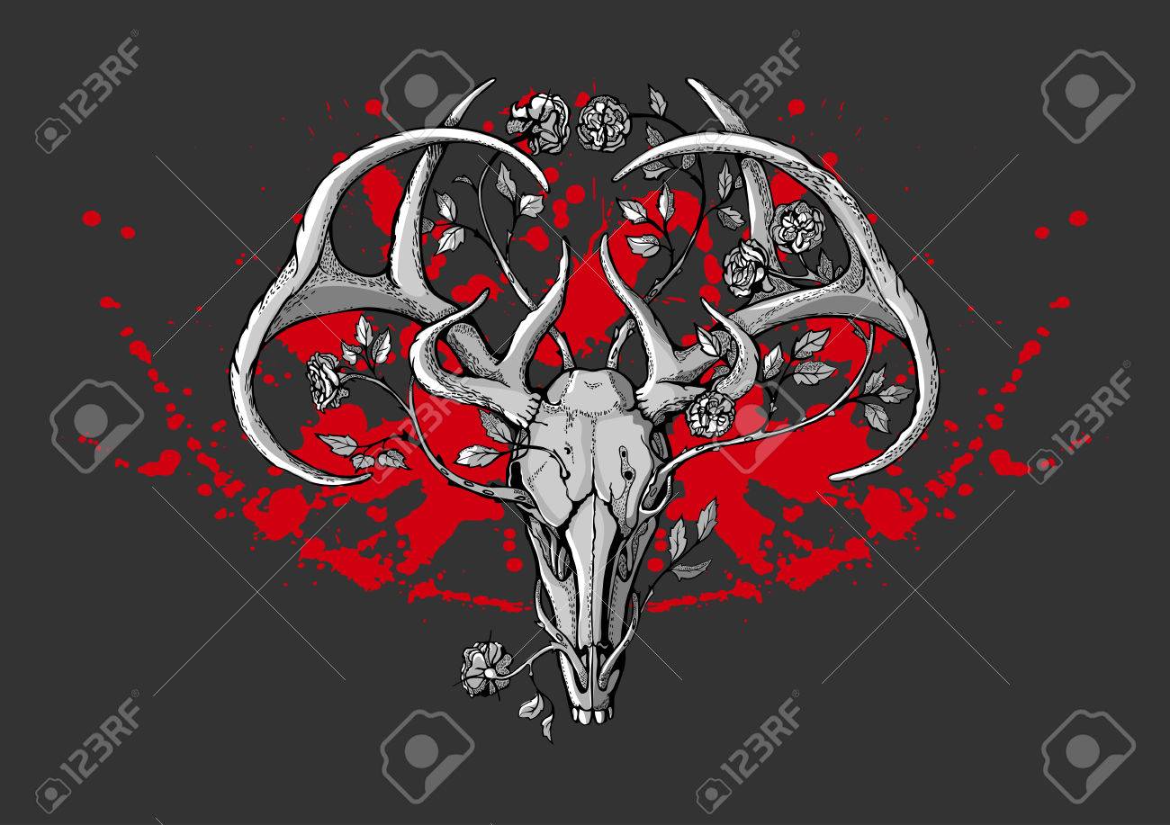 Black And White Deer Skull With Horns In Graphic Style Decorated Royalty Free Cliparts Vectors And Stock Illustration Image 35606431
