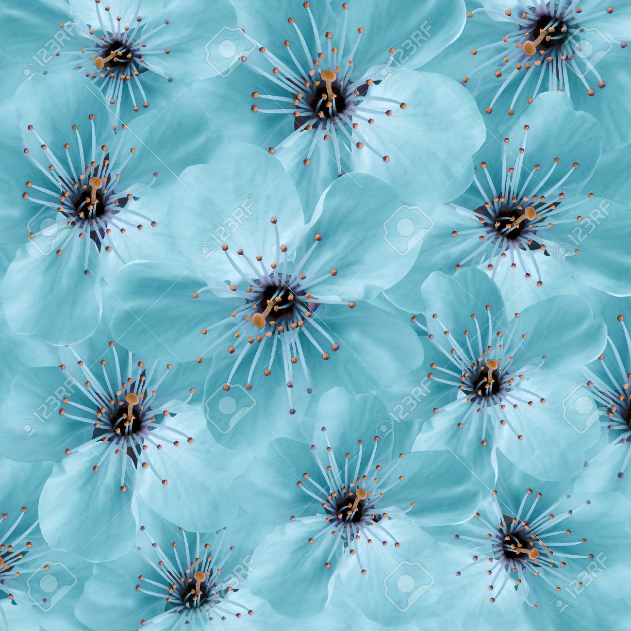 turquoise flower background