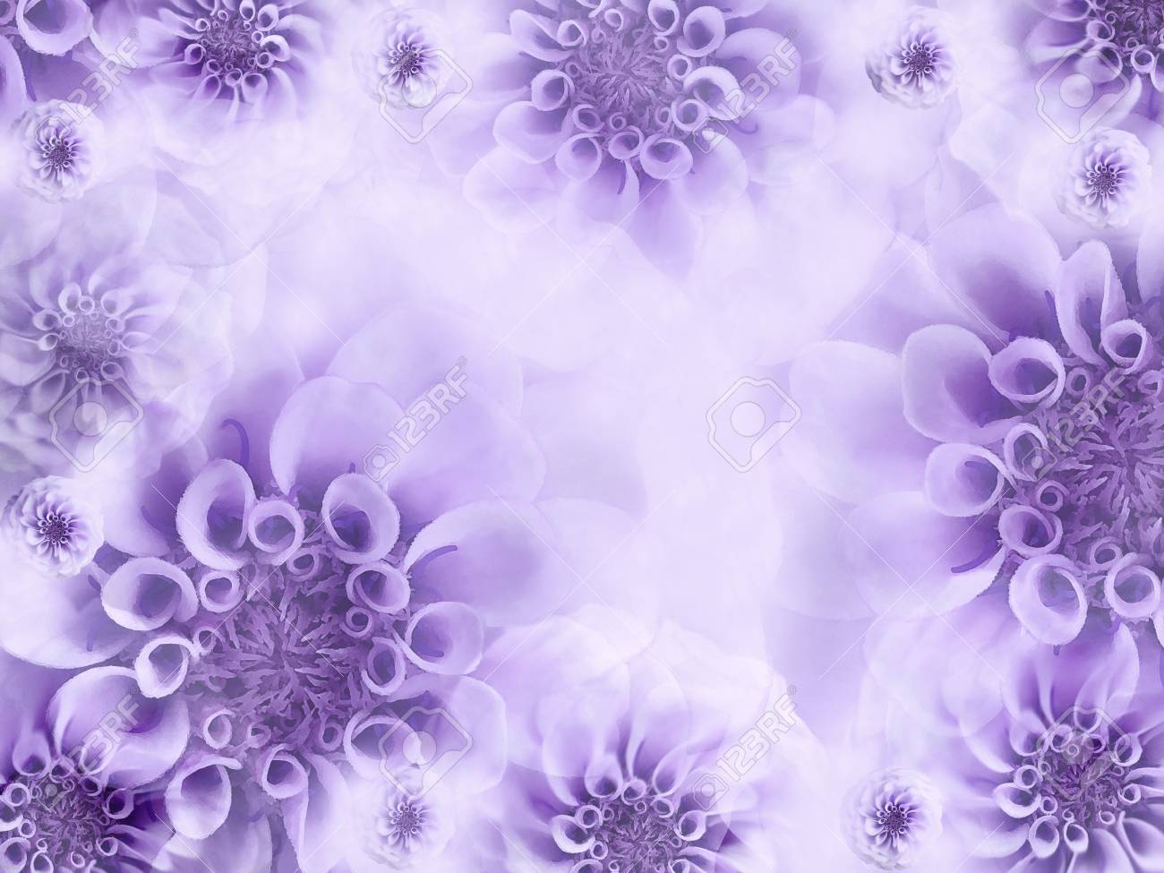 Floral White-violet Beautiful Background. Wallpapers Of Light Purple Flowers.  Flower Composition. Nature. Stock Photo, Picture and Royalty Free Image.  Image 88139186., image size:1300x975