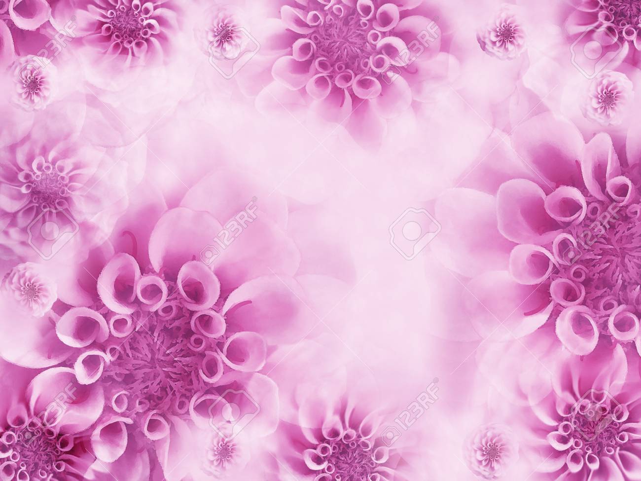 Floral White Pink Beautiful Background Wallpapers Of Light Stock