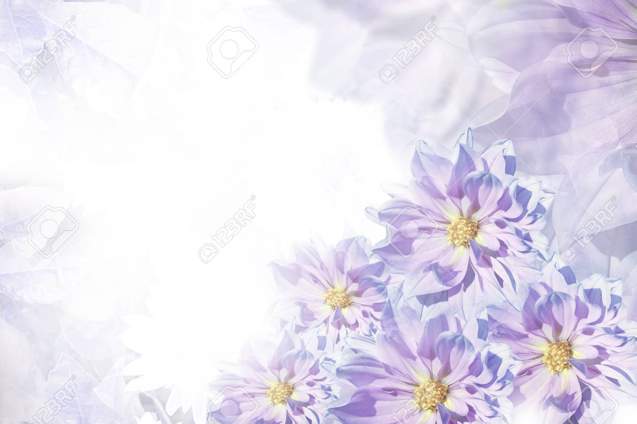 フローラルブルー ホワイトピンクの美しい背景 花の構図 ダリアの花からの休日のためのグリーティングカード 自然 の写真素材 画像素材 Image 9742