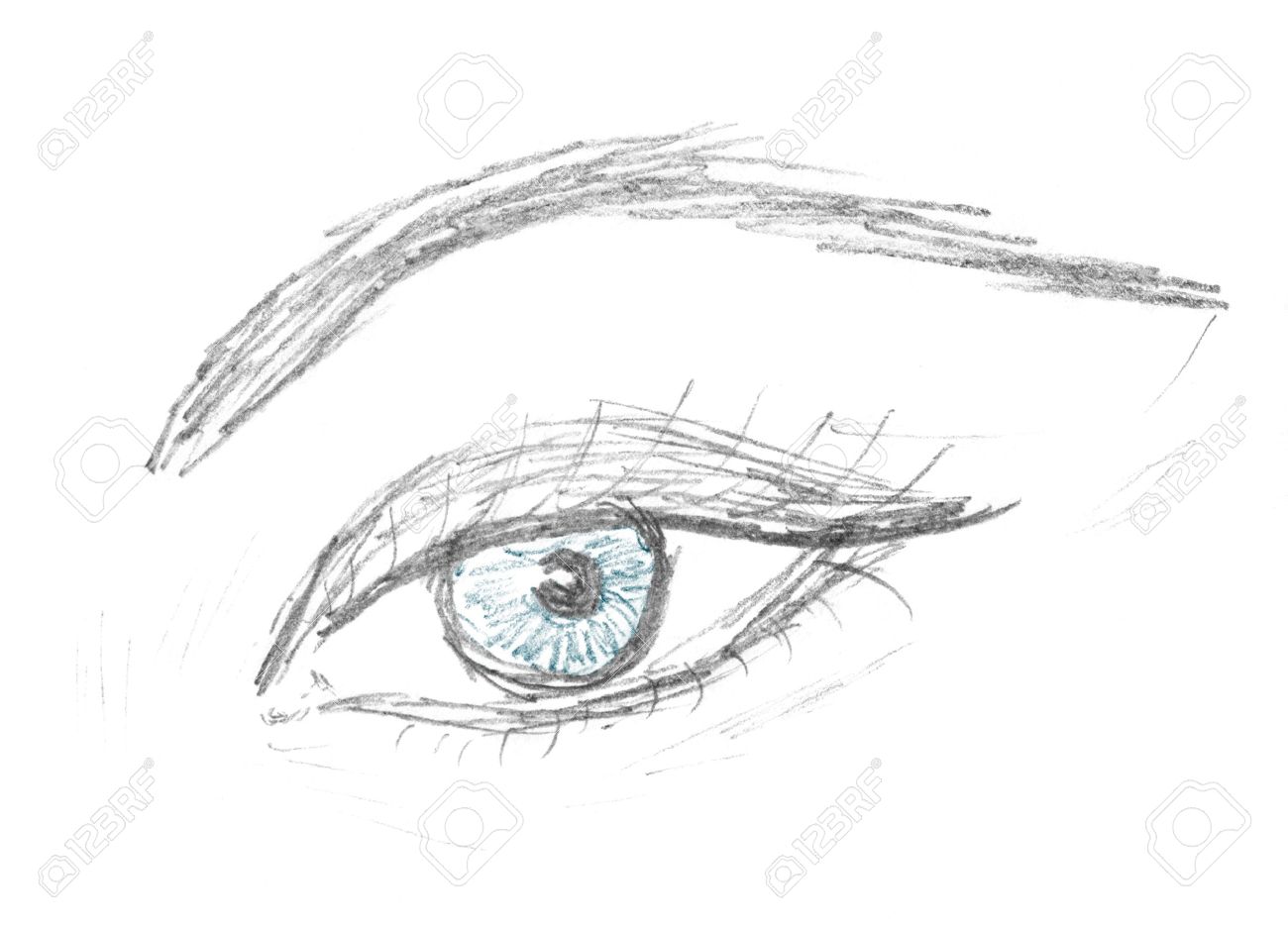 人間の目と眉のスケッチは 鉛筆画 の写真素材 画像素材 Image 人間の目と眉のスケッチは 鉛筆画 の写真素材 画像素材 Image