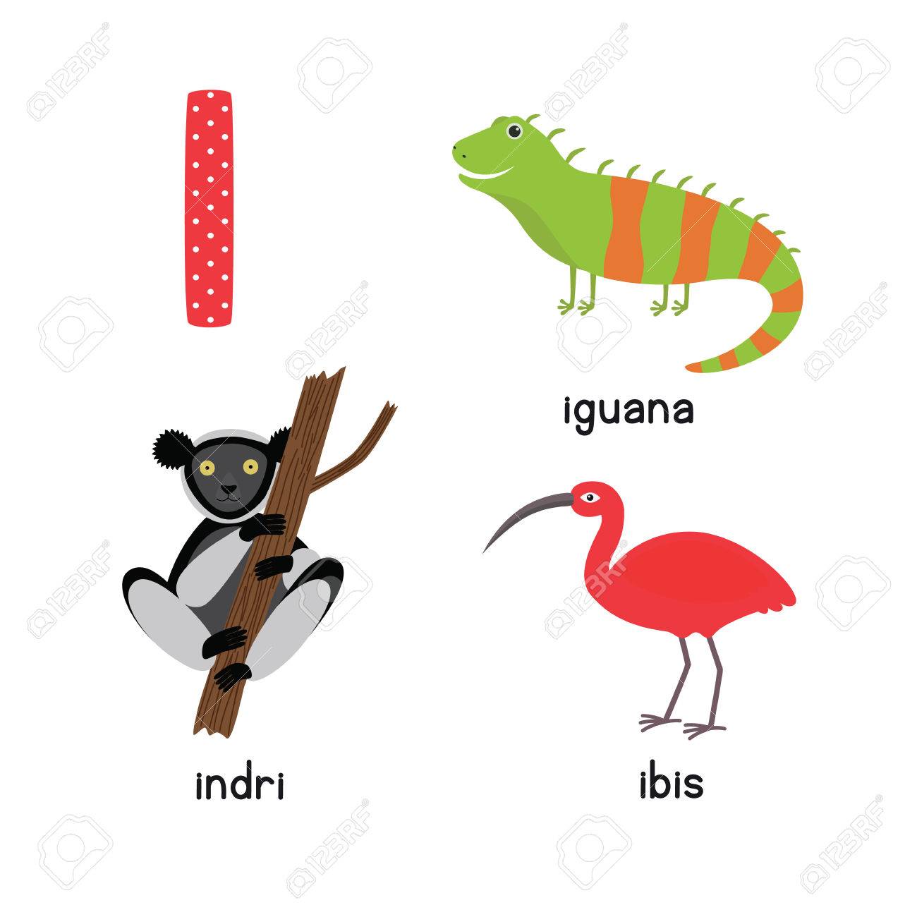 Cute Animal Zoo Alphabet Letter I For Iguana Ibis Indri Fun Royalty Free Cliparts Vectors And Stock Illustration Image 78341985