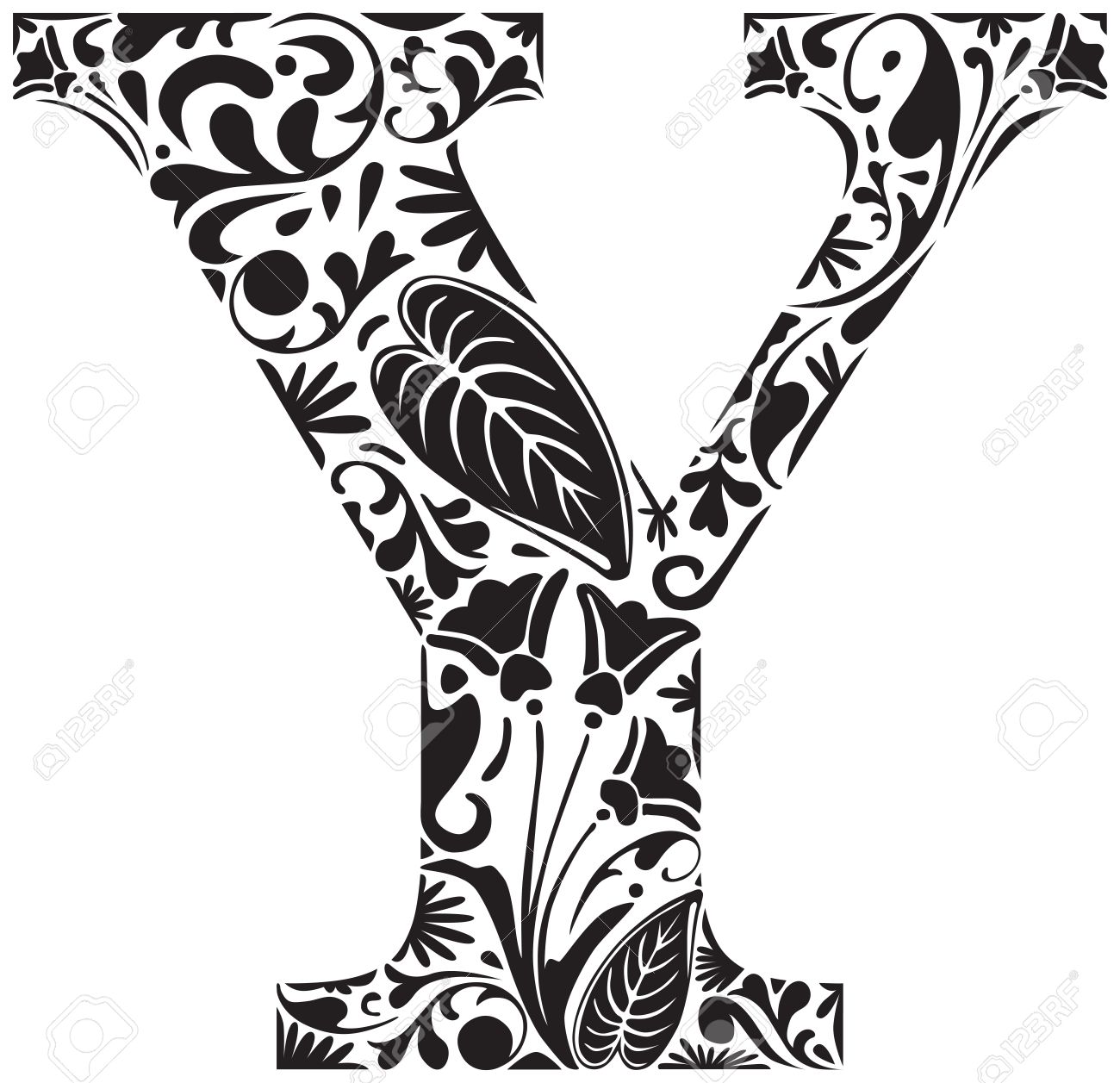 letter y photography