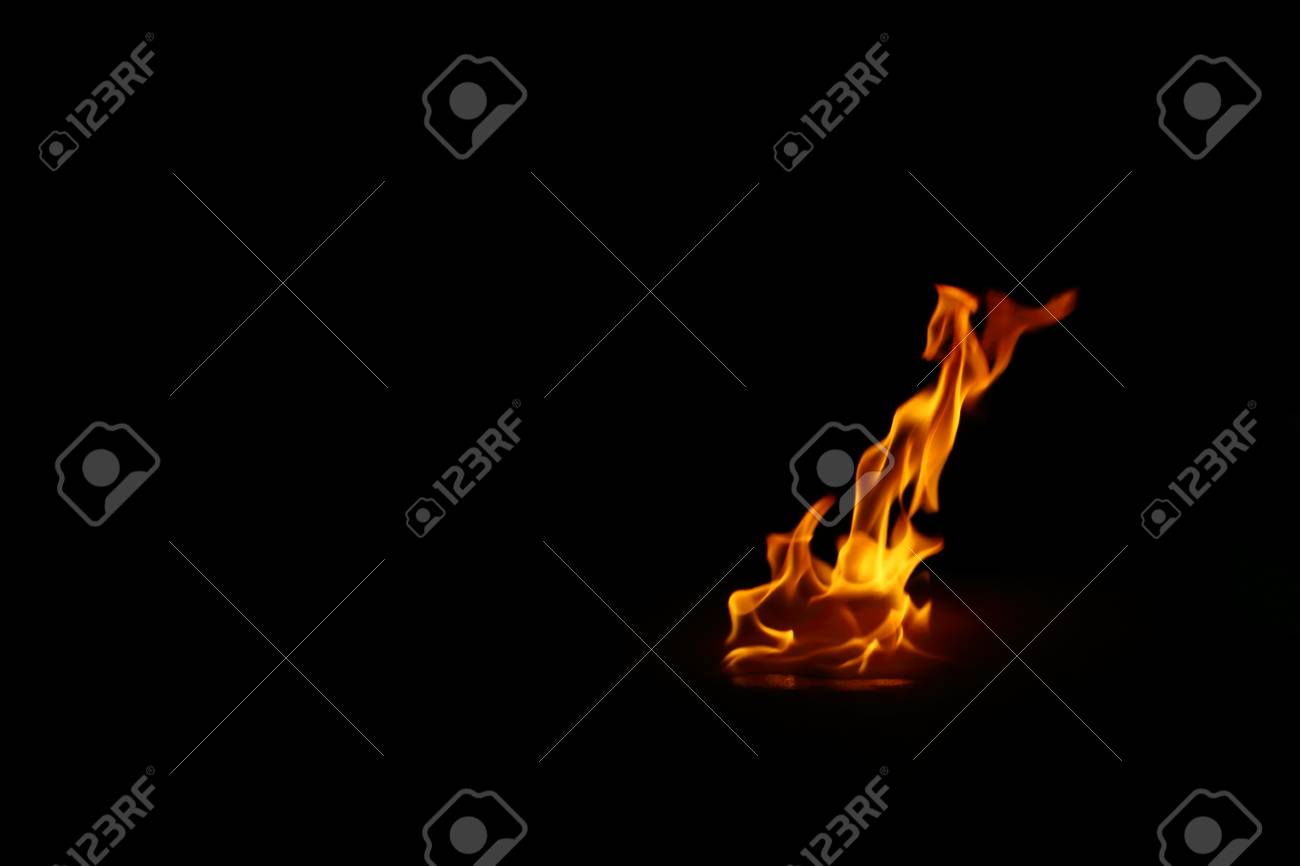 etiam-dictum-ipsum-a-felis