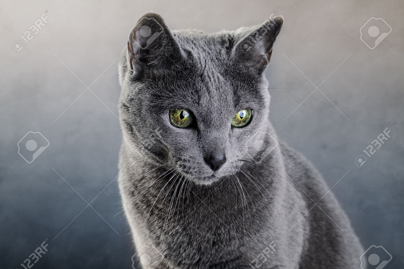 studio portrait of an