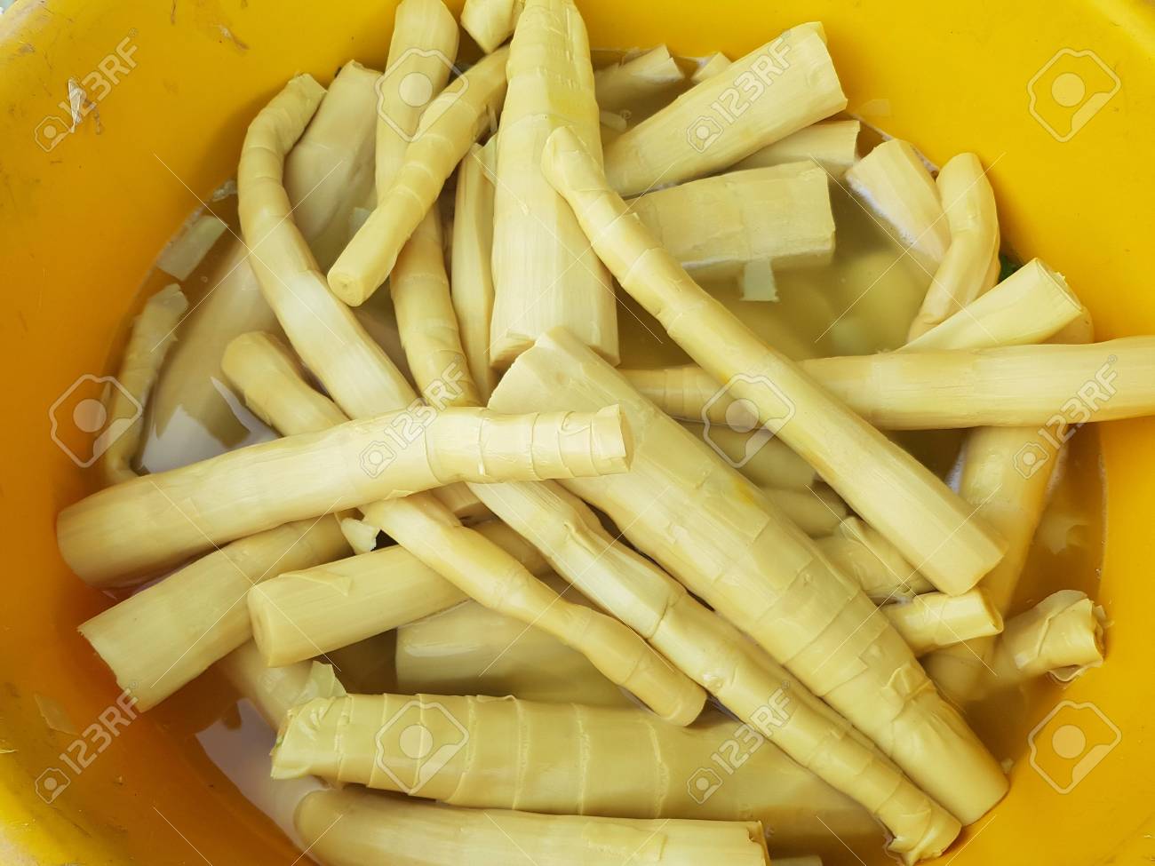 germogli di mercato forskolini germogli di mercato forskolini
