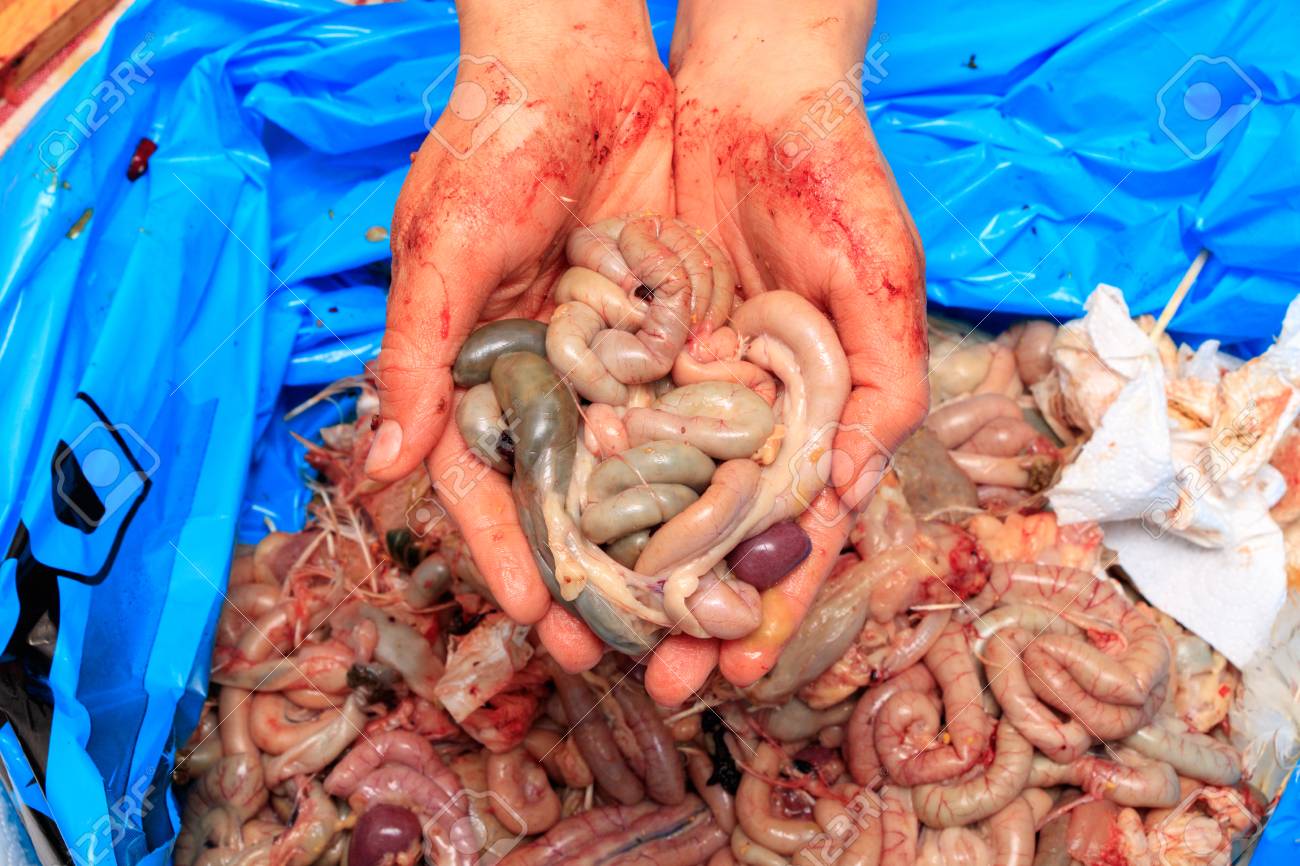 etiam-dictum-ipsum-a-felis