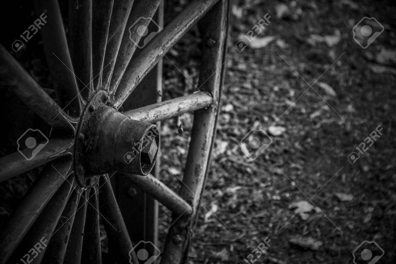 etiam-dictum-ipsum-a-felis