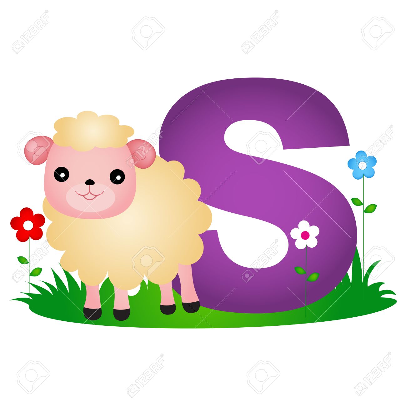 かわいい羊のフラッシュ カードは 白い背景で隔離のカラフルな動物アルファベット S のイラスト素材 ベクタ Image