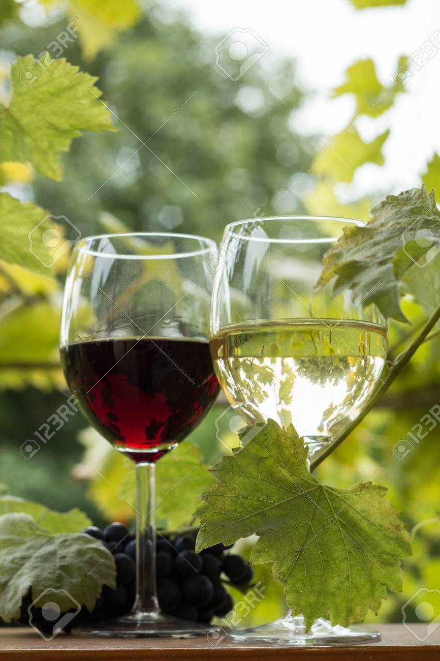 wein im garten, zwei gläser des weißen und roten wein im garten lizenzfreie fotos, Design ideen