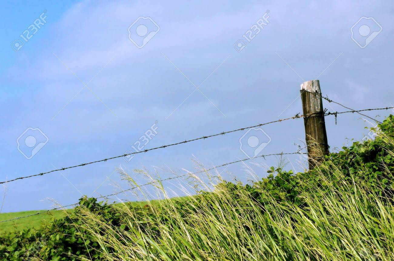 Old Barbed Wire Fence Old Barbed Wire Fence