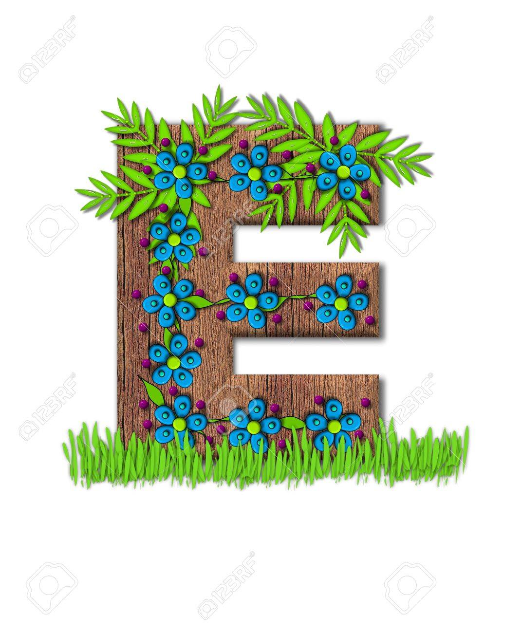 アルファベット文字 E 咲くつる木製の手紙がつるクライミング飾られて花とブルゴーニュ ドット文字セットの一部です 草は手紙の基地周辺育ちます の写真素材 画像素材 Image