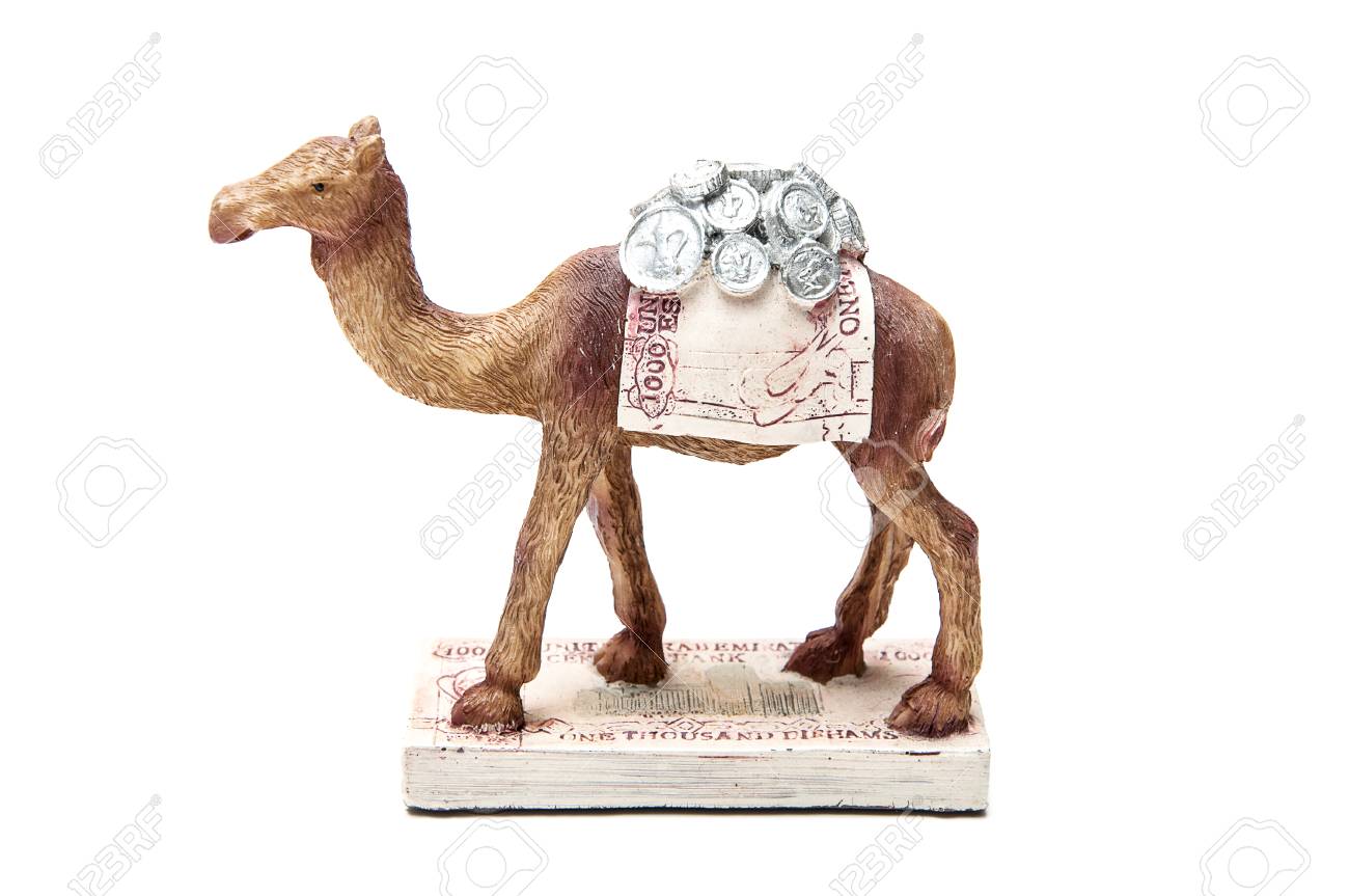 camel doll