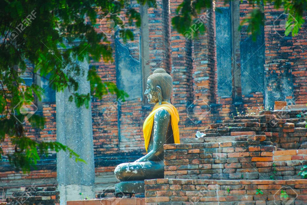 etiam-dictum-ipsum-a-felis