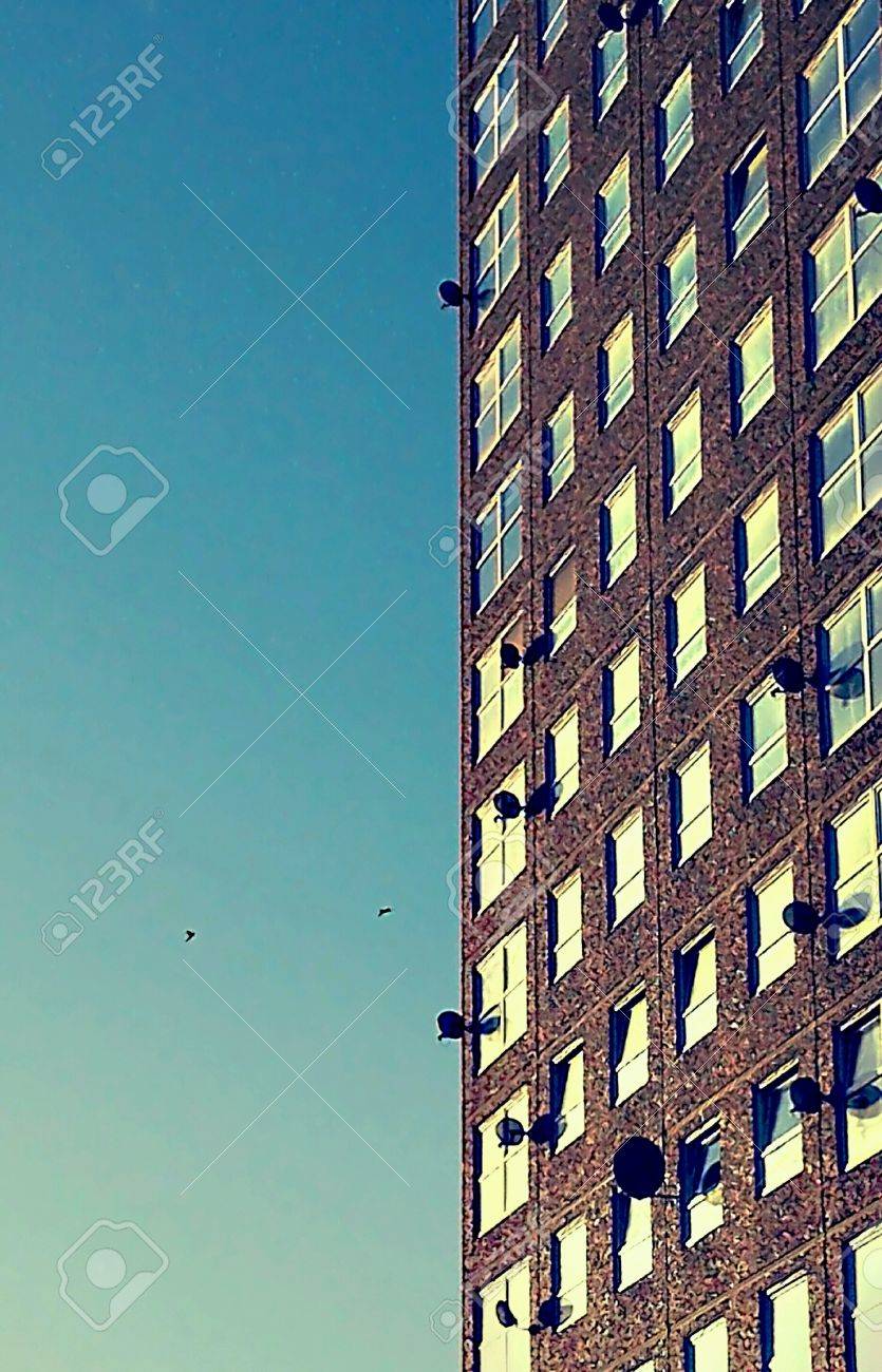 etiam-dictum-ipsum-a-felis