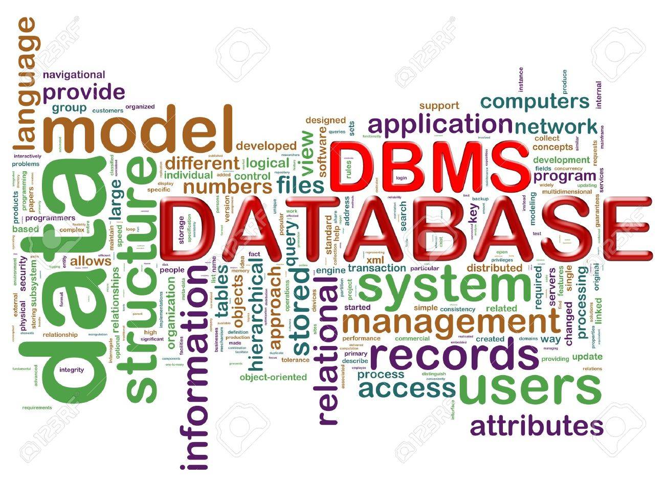 dbms