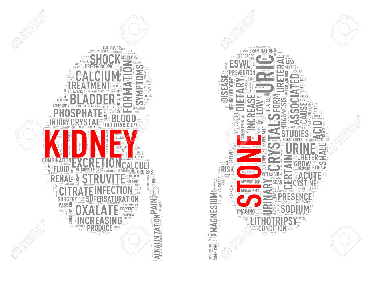 illustration of kidney shape wordcloud word tags presenting kidney