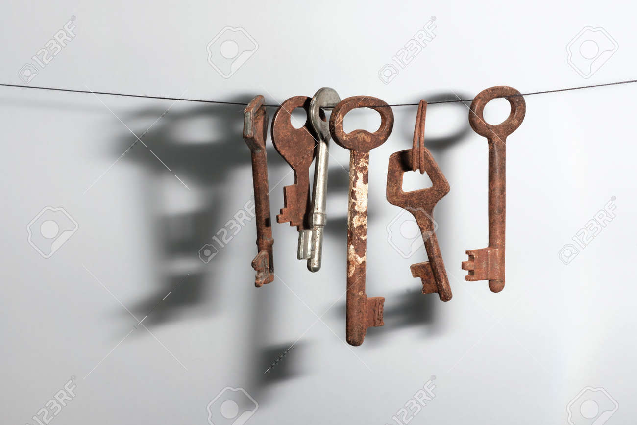 etiam-dictum-ipsum-a-felis