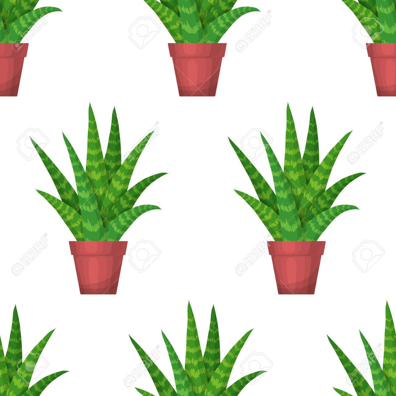 アロエベラ シームレス花柄の鍋 白の背景にベクトルかわいい多肉植物 植物の壁紙 緑の葉 自然イラスト漫画のスタイルでメキシコの観葉植物 のイラスト素材 ベクタ Image