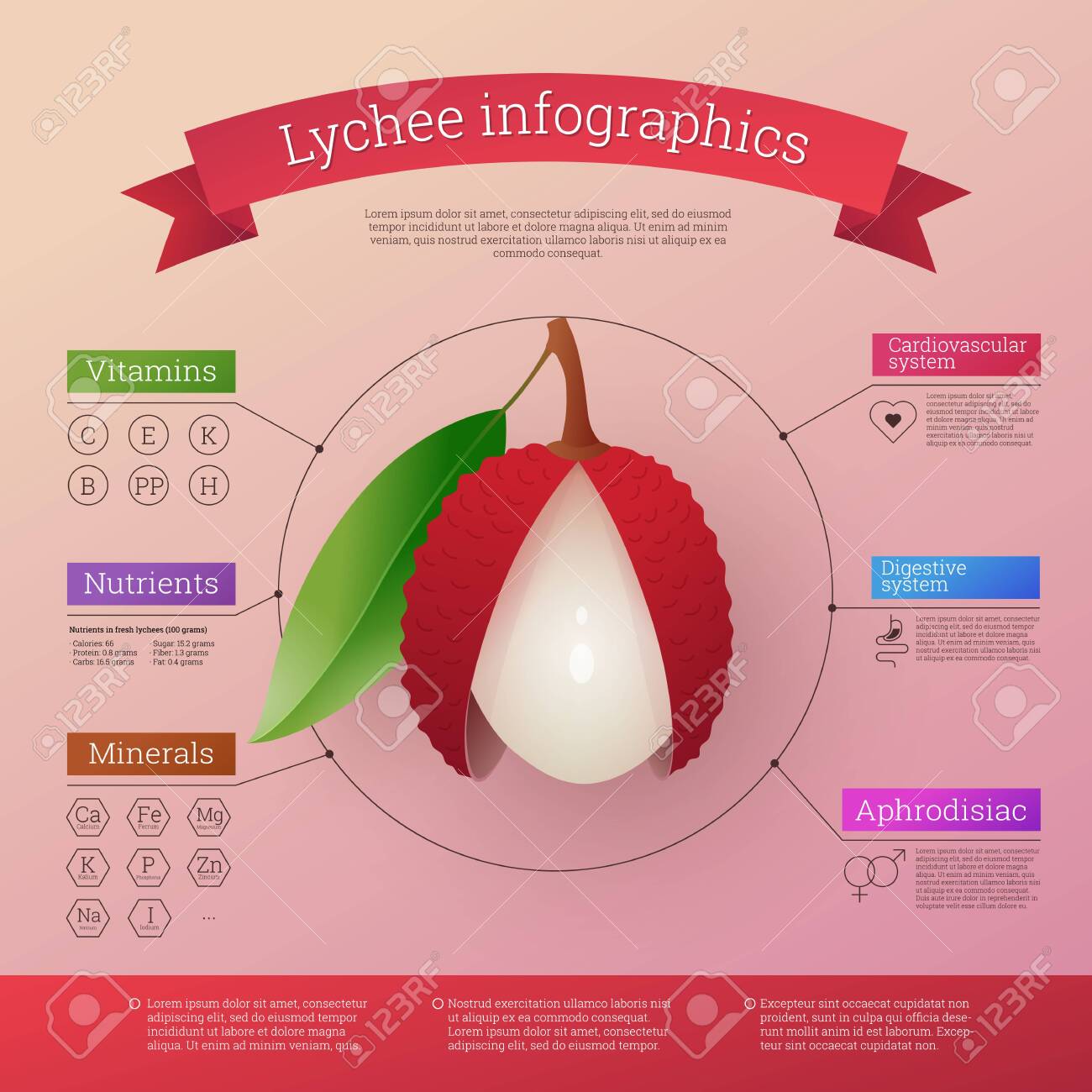 Lychee fruit infographics calories, vitamins and minerals. Healthy facts value nutritional information. Fresh ripe exotic tropical fruit benefits. Healthy diet vector illustration - 152461365 Lychee fruit infographics calories, vitamins and minerals. Healthy facts value nutritional information. Fresh ripe exotic tropical fruit benefits. Healthy diet vector illustration - 152461365