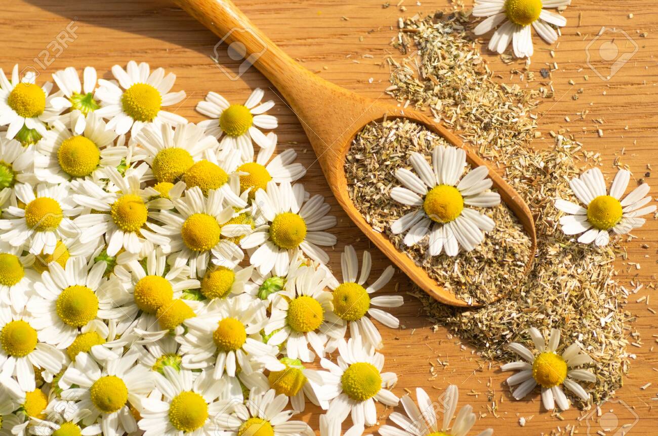 Chamomile