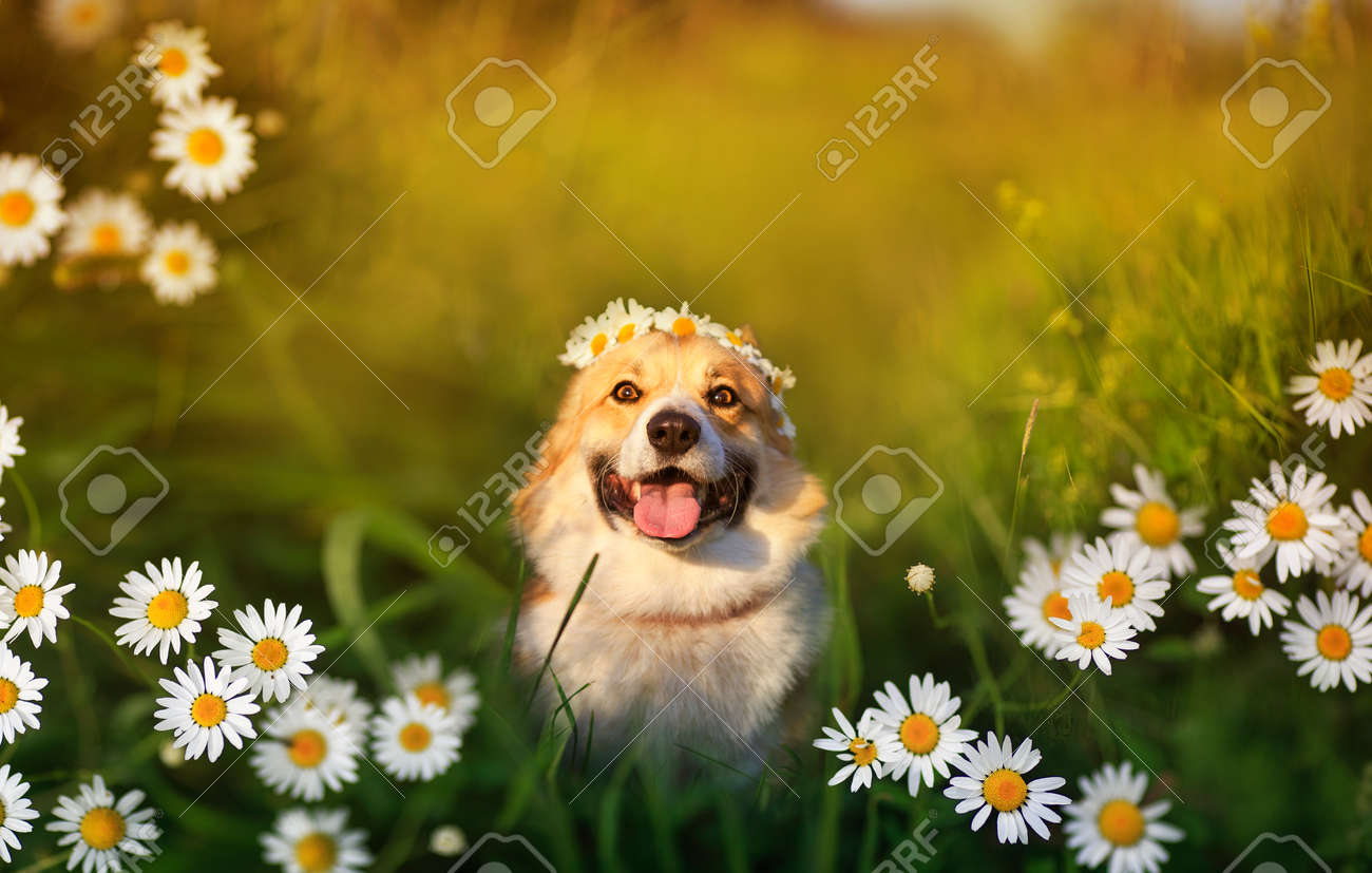 30 Twitter header ideas | twitter header, twitter header photos, header, image size:1300x827