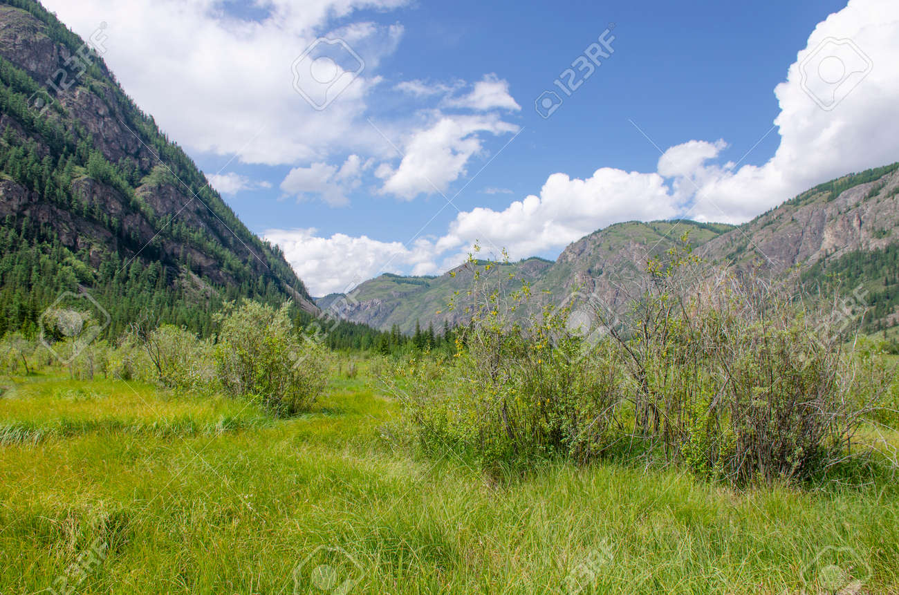 Landscape of Altai mountains in Russia with forest and plants - 152468920 Landscape of Altai mountains in Russia with forest and plants - 152468920