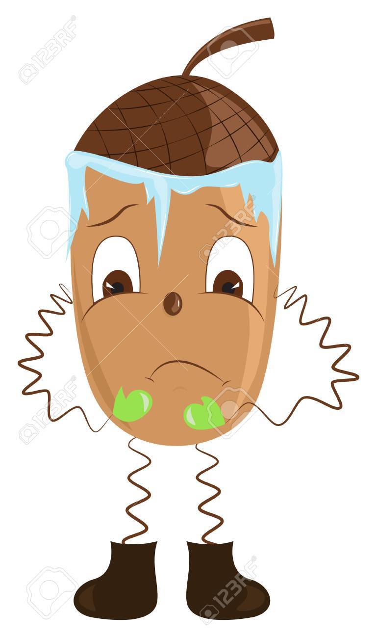 Cartoon Acorn Shivering From The Cold. Illustration Royalty Free SVG,  Cliparts, Vectors, and Stock Illustration. Image 61097935., image size:769x1300