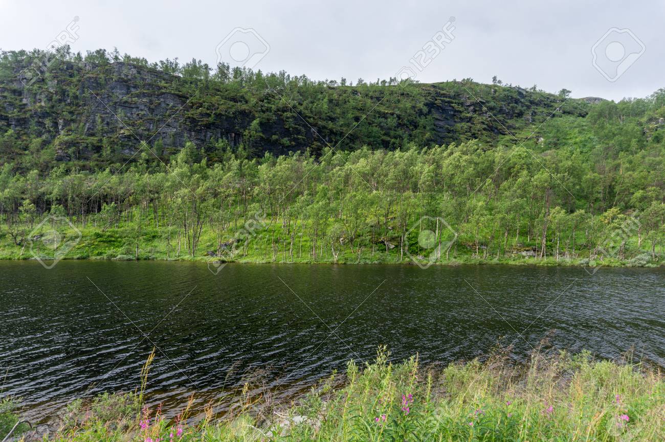 tundra characteristic