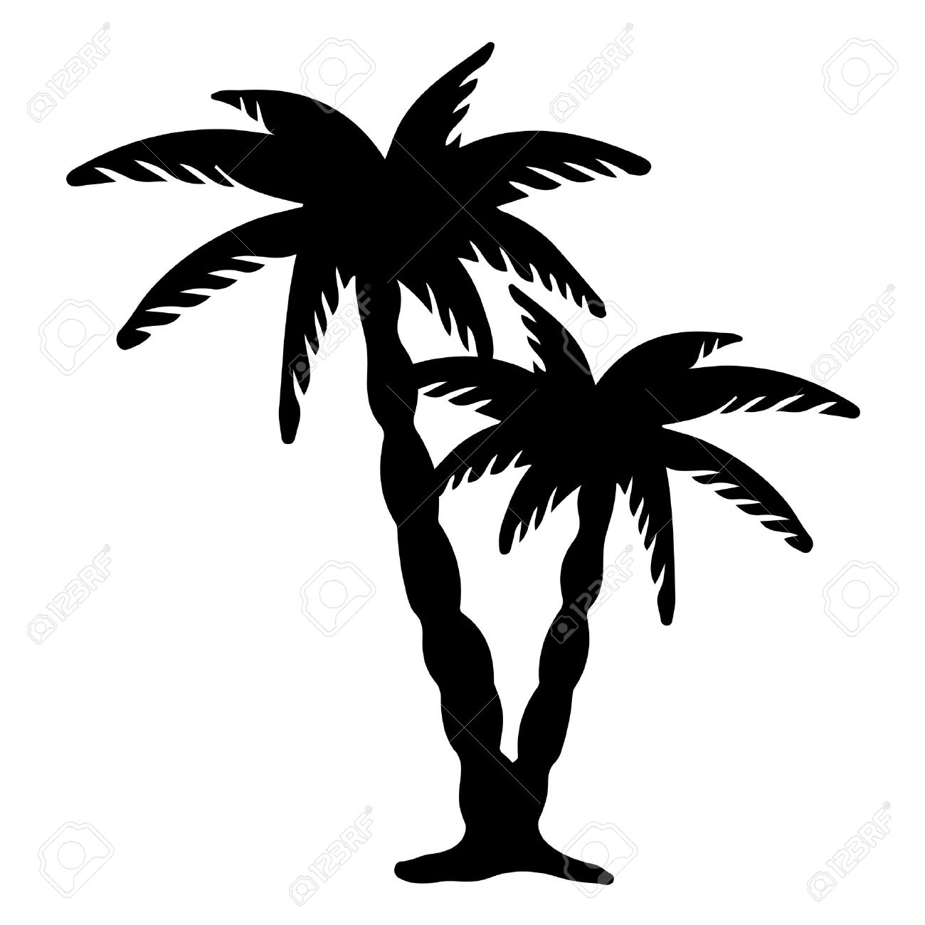 Cocotiers Arbres Silhouettes Noires Isole Sur Blanc Vecteur Clip Art Libres De Droits Vecteurs Et Illustration Image