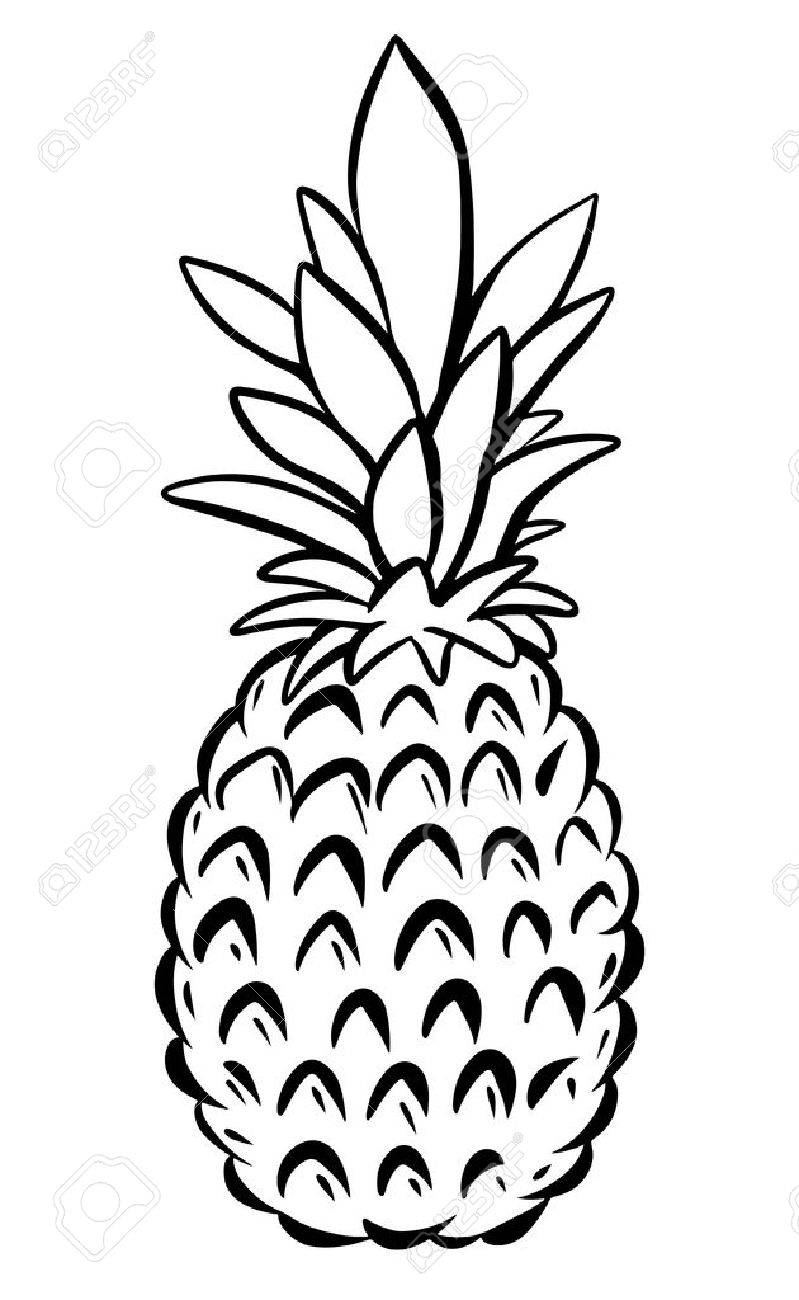 Pineapple Black Sketch Cartoon Hand Drawn Illustration Isolated ... for Clipart Pineapple Black And White
300lyp Pineapple Black Sketch Cartoon Hand Drawn Illustration Isolated ... for Clipart Pineapple Black And White
300lyp