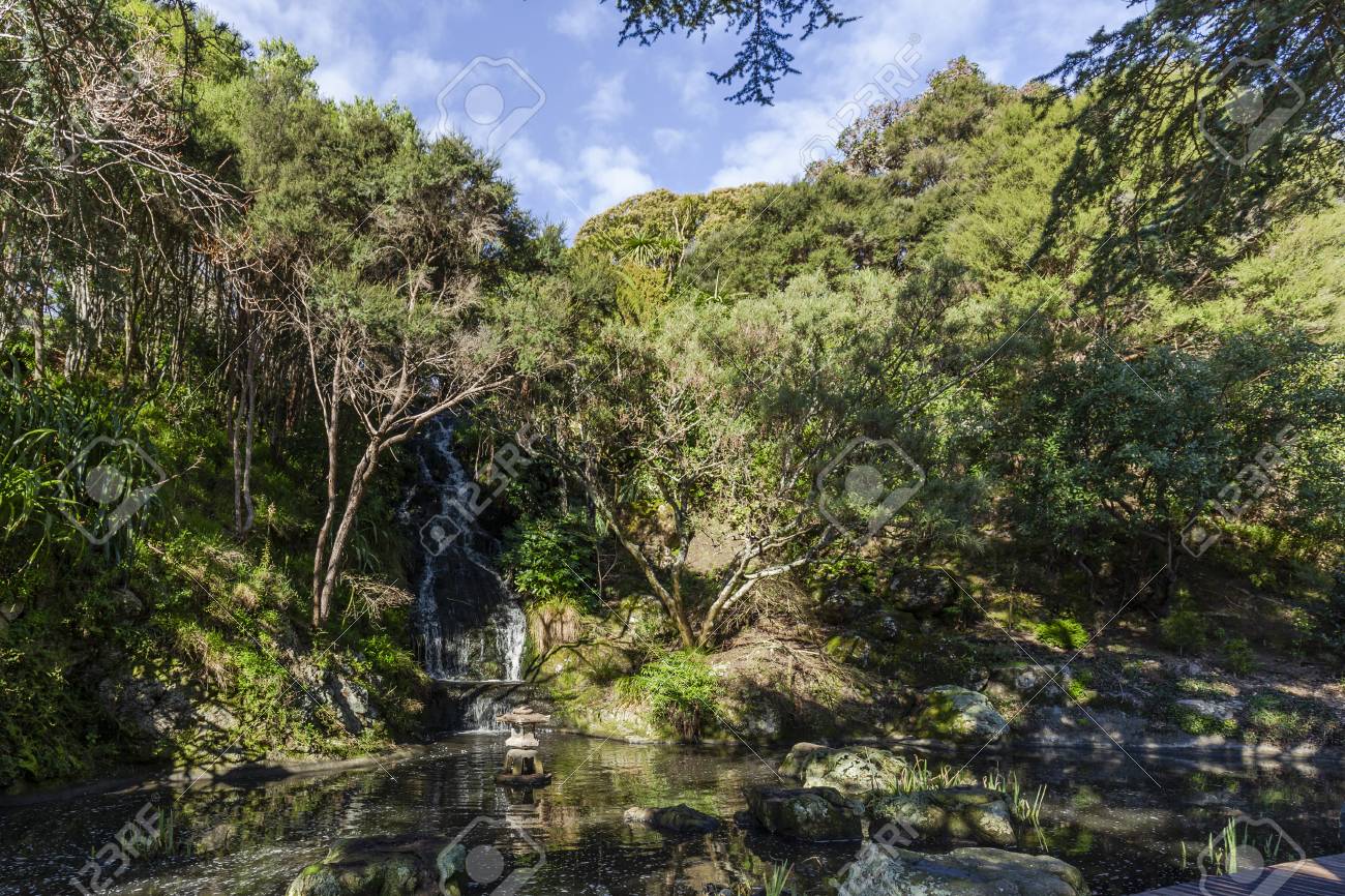 japanese garden pond wellington botanic gardens new zealand