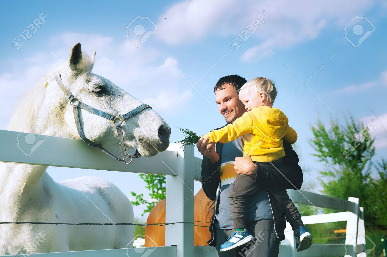 Father and son are feed a horse at countryside. Family on a farm at springtime. Toddler boy playing with pets outdoors. - 77881050 Father and son are feed a horse at countryside. Family on a farm at springtime. Toddler boy playing with pets outdoors. - 77881050