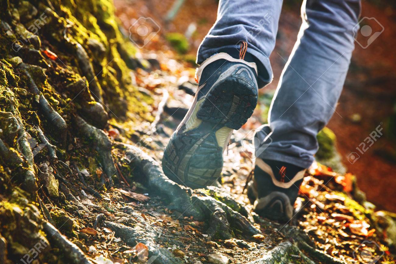 hiking trekking shoes
