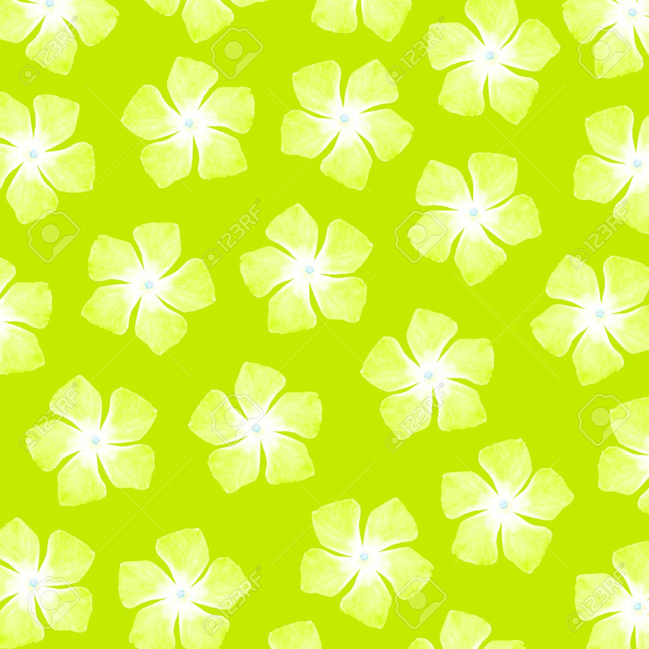 light green flowery background stock photo picture and royalty free flowery background
