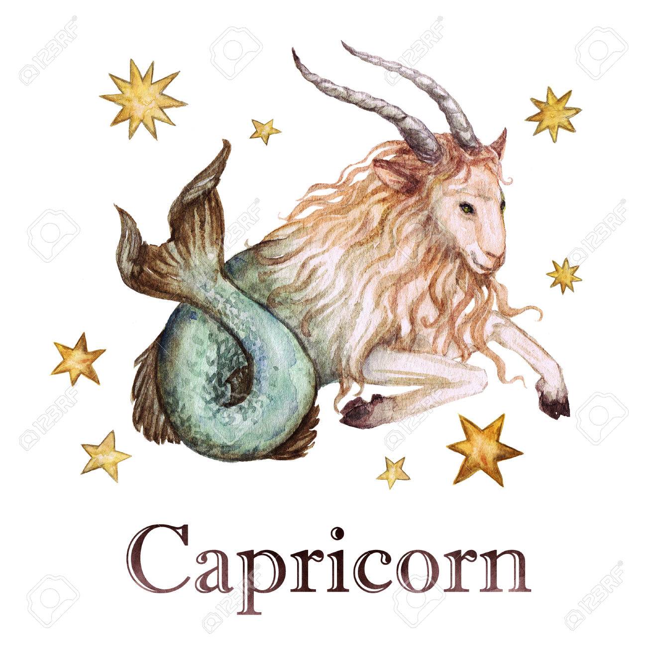 ダイヤモンドアートクラブ Capricorn 山羊座 Capricorn