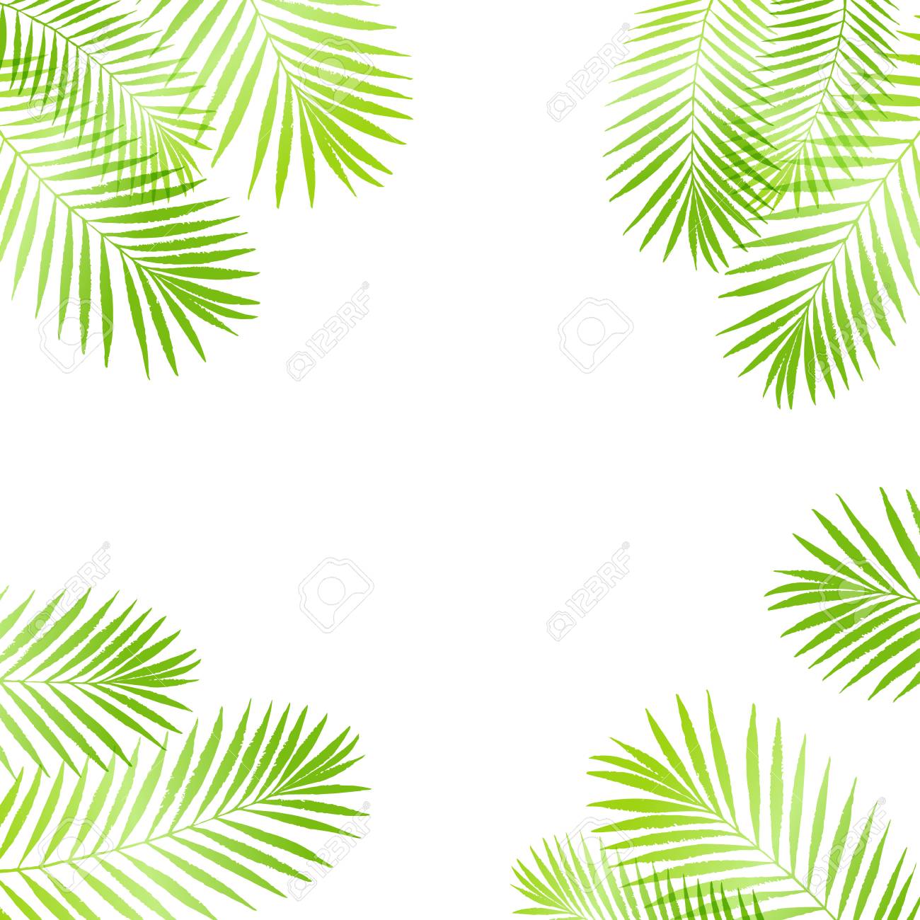 Summer Tropical Palm Tree Leaves Border Frame Background Vector Grunge Design For Card Summer Tropical Palm Tree Leaves Border Frame Background Vector Grunge Design For Card