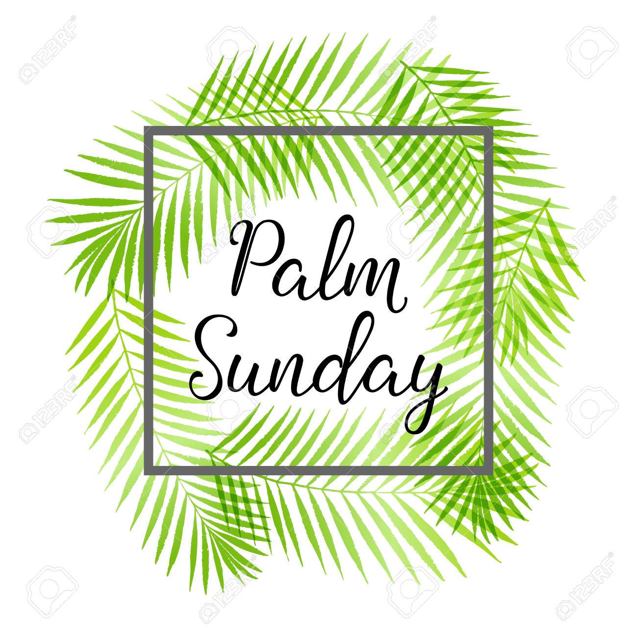 Palm Sunday Holiday Card Poster With Palm Leaves Border Frame Stock Vector 78232350 Palm Sunday Holiday Card Poster With Palm Leaves Border Frame Stock Vector 78232350