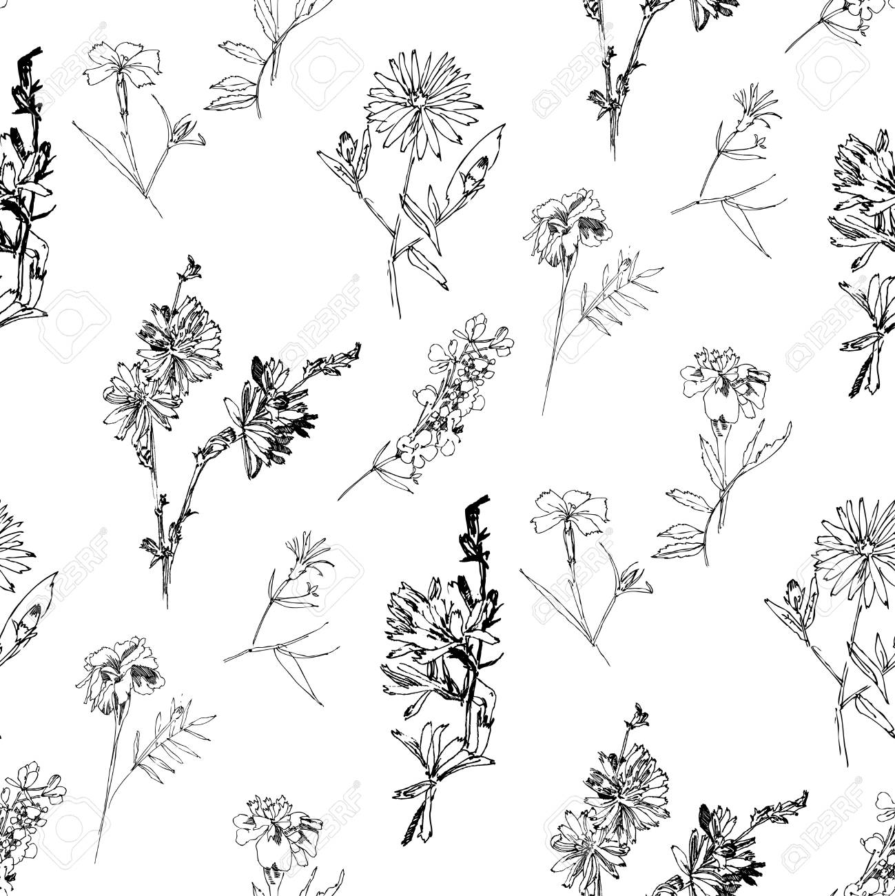 Seamless pattern with Wild Flowers with Summer Botanical Sketches - 123364843 Seamless pattern with Wild Flowers with Summer Botanical Sketches - 123364843