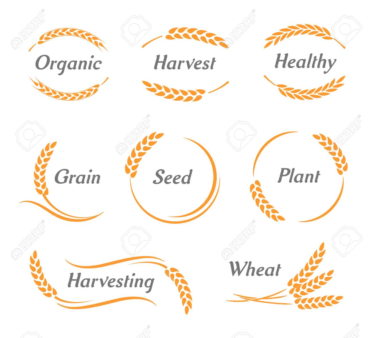 Set of wheat logo with the place for text, Ears of Wheat - 152908328 Set of wheat logo with the place for text, Ears of Wheat - 152908328