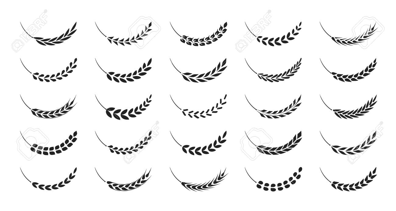 Set of simple wheats ears icons and wheat design elements, organic wheats local farm fresh food, bakery - 152908329 Set of simple wheats ears icons and wheat design elements, organic wheats local farm fresh food, bakery - 152908329