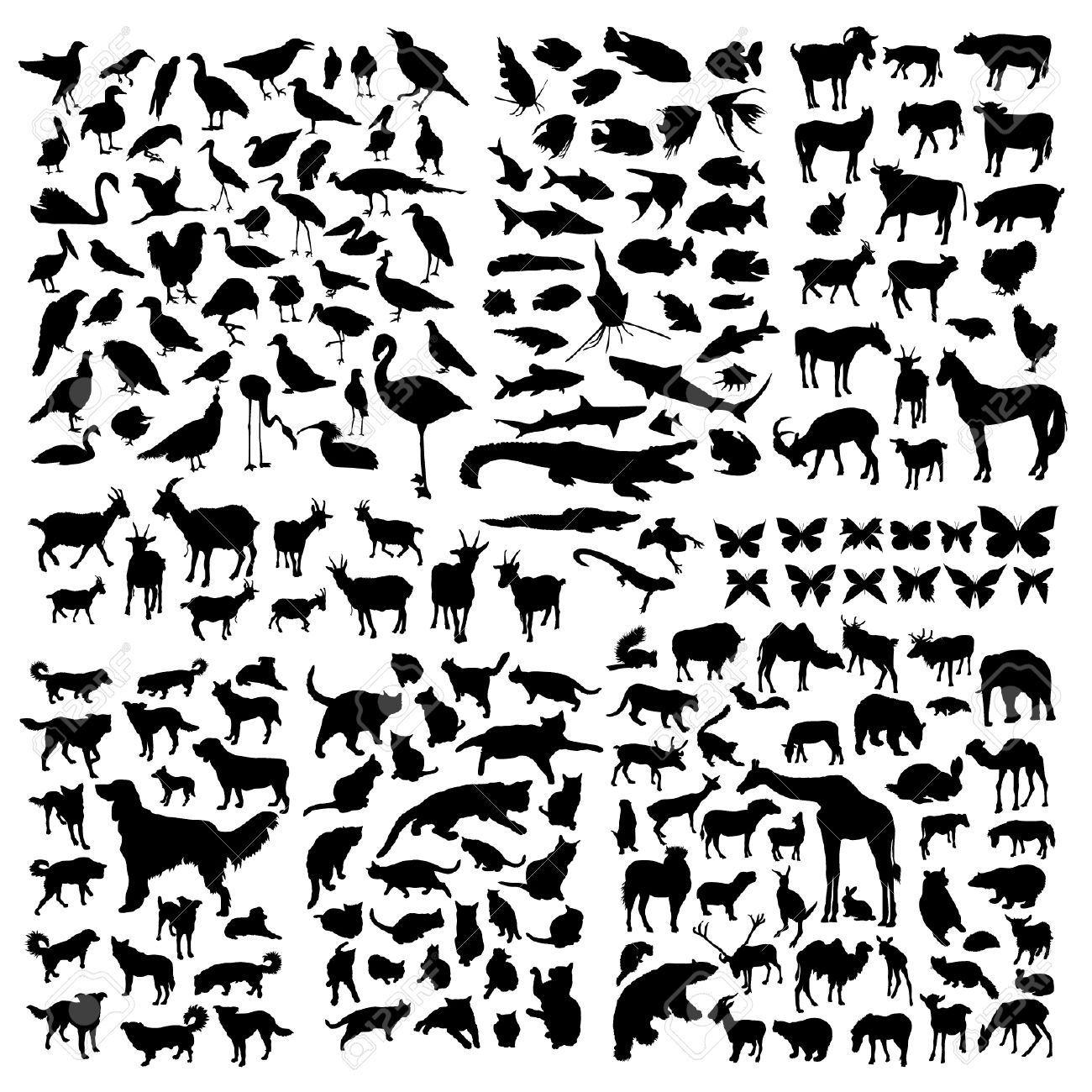 大きな動物シルエット セットのイラスト素材 ベクタ Image