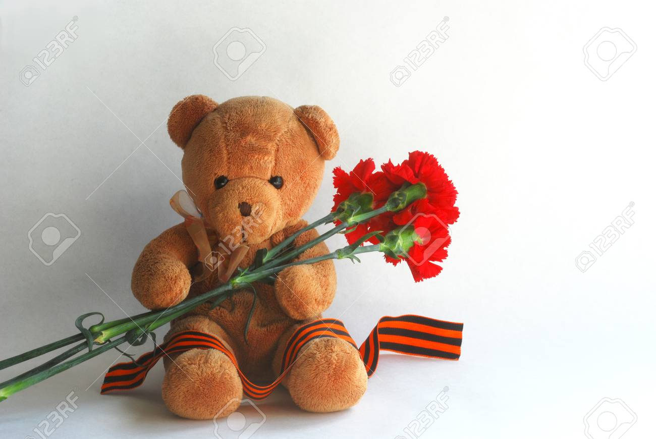 carnation teddy bear