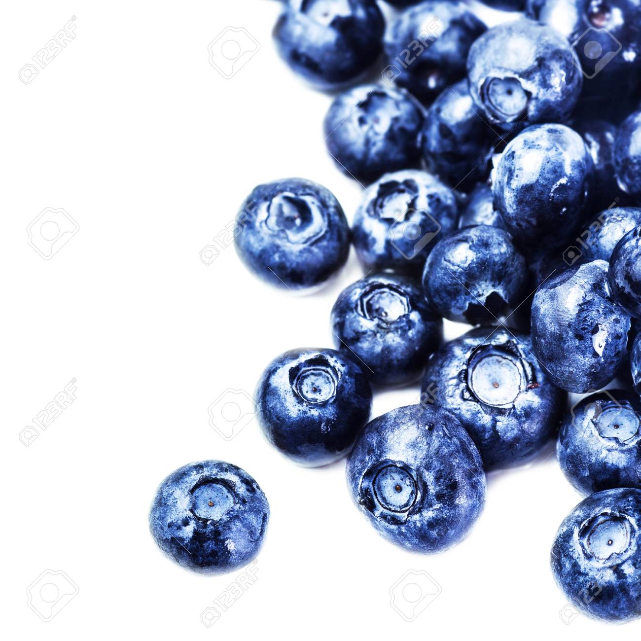 ブルーベリー抗酸化スーパー フード ホワイト バック グラウンド マクロに分離されました 新鮮なブルーベリーは白のクローズ アップ 明るい Vibriant 色に分離されました の写真素材 画像素材 Image