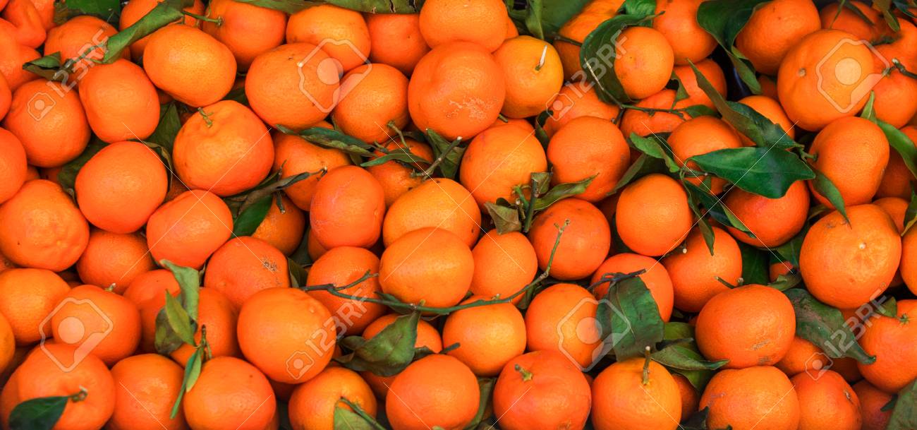 Citrus Fruit Background Fresh Tangerines Mandarines Clementines Stock Photo Picture And Royalty Free Image Image 96946256