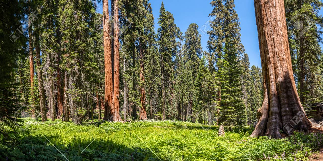 crescent meadow trail