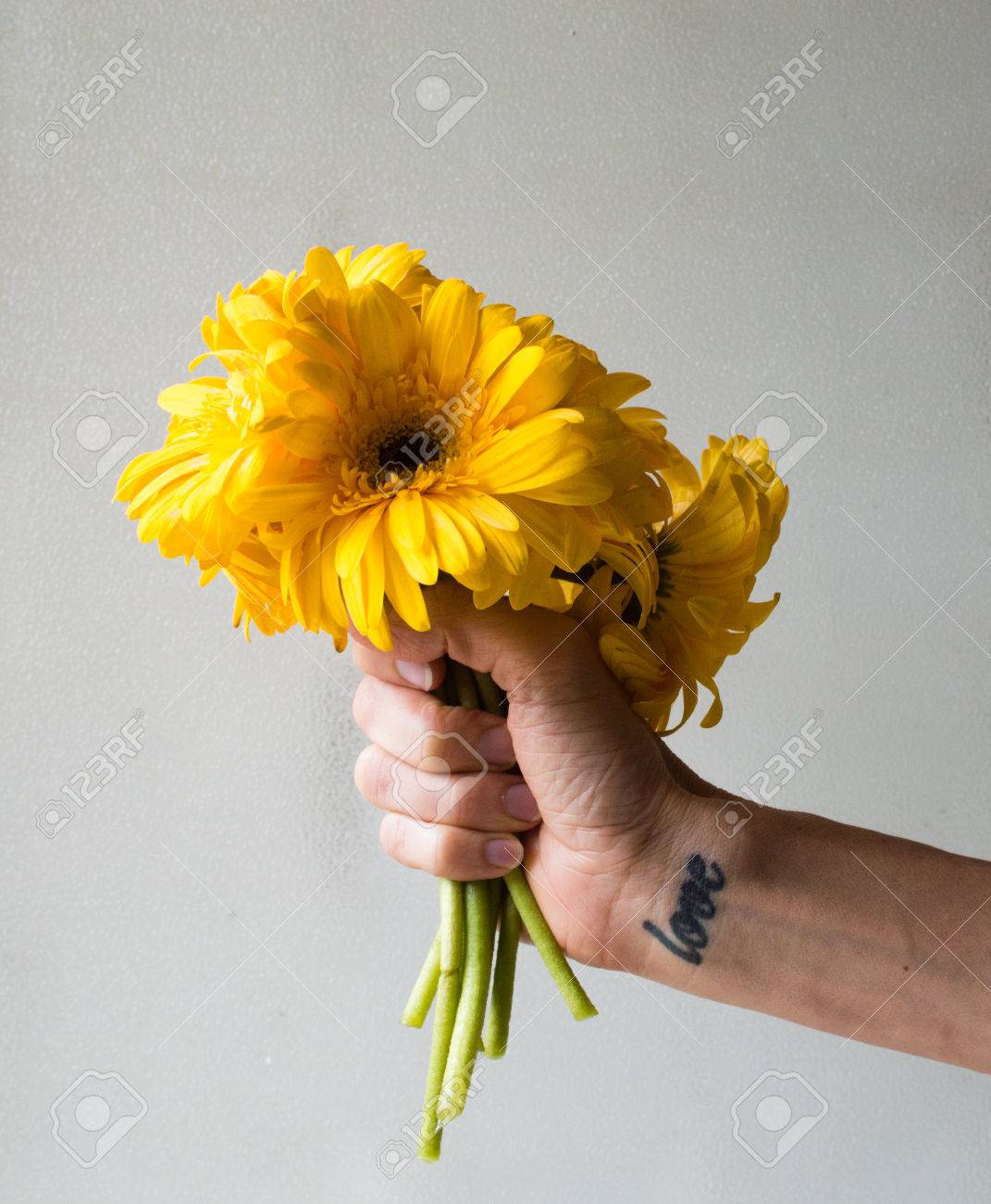 La Main Et De Lavant Bras De La Femme Avec Lamour Tatouage Sur Lintérieur Du Poignet Tas Tenant Des Gerberas Jaunes